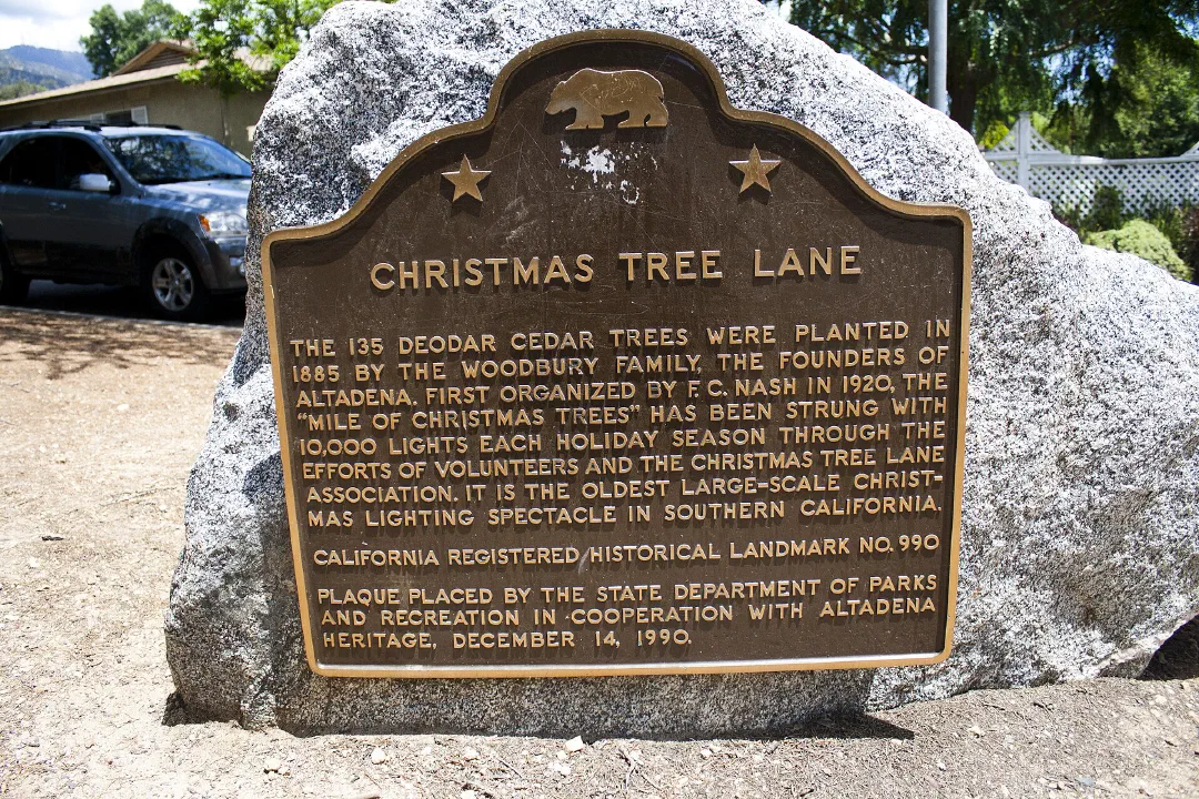 Christmas Tree Lane’s deodars were planted in 1885 — Altadena’s roots run deep. Photo: Johnwayne Stroud (CC BY-SA 3.0, Wikimedia Commons)